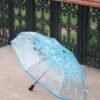 Premium Sakura Print Transparent Umbrella