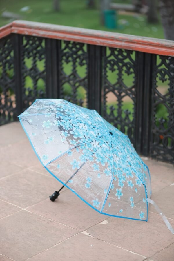 Premium Sakura Print Transparent Umbrella