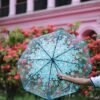 Premium Sakura Print Transparent Umbrella
