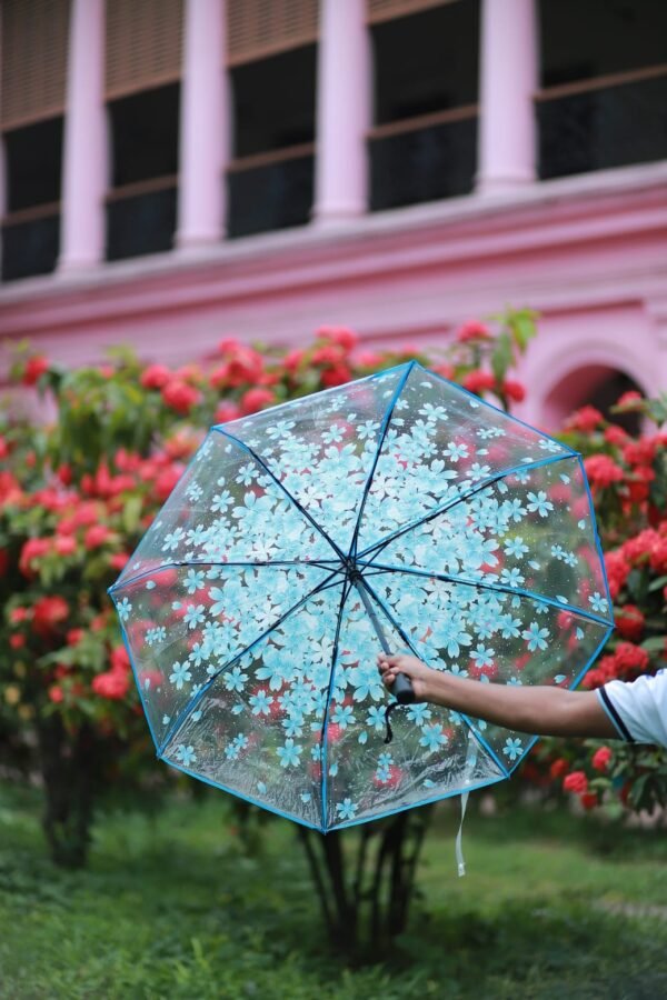 Premium Sakura Print Transparent Umbrella