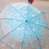 Premium Sakura Print Transparent Umbrella