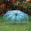 Premium Sakura Print Transparent Umbrella