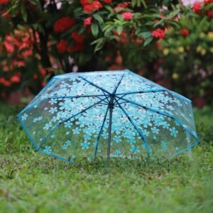 5 Premium Sakura Print Transparent Umbrella